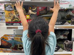 -TOYSRUS玩具反斗城(上海万象城店)