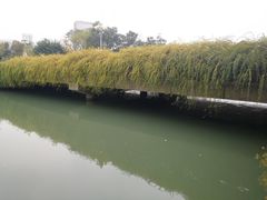 -成都市活水公园