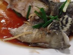 -四姑娘川味海鲜(八爪鱼店)