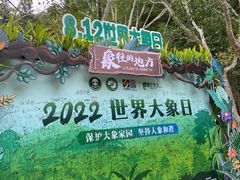-野象谷景区