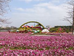 -海珠湖公园