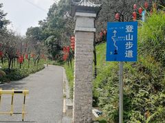 -广州市帽峰山景区