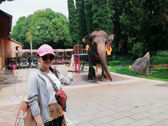 -云南民族村