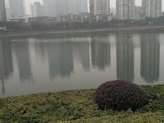 -喷泉公园