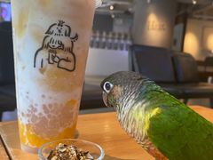 -喜茶(佛山顺德大良东乐路店)