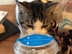 -Blueglass酸奶(财富购物中心店)