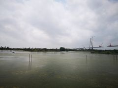 -芒洲湿地公园
