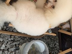 -DGE季风钓虾营地·团建·聚会