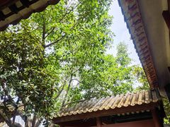 -顺峰山公园