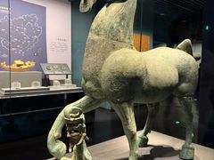 -广西壮族自治区博物馆