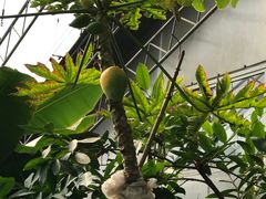 -北戴河集发农业梦想王国