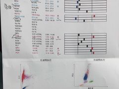 -纳吉亚猫专科动物诊疗中心(蒋宅口分院)