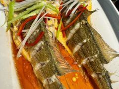 -前海沿·青岛菜(五四广场永旺店)