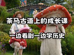 -丽江千古情