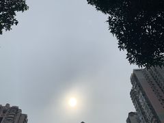 -天虹超市(大西洋店)