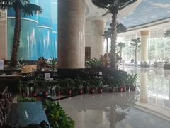 -广州科尔海悦酒店