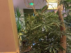 -山缓缓火锅(苏州仁恒仓街店)