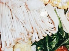 -润园四季椰子鸡火锅(海上世界店)