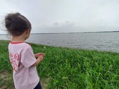 -漕湖湿地公园
