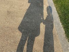 -昆山城市生态森林公园