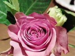 -佐度王子扒房(西城红场店)