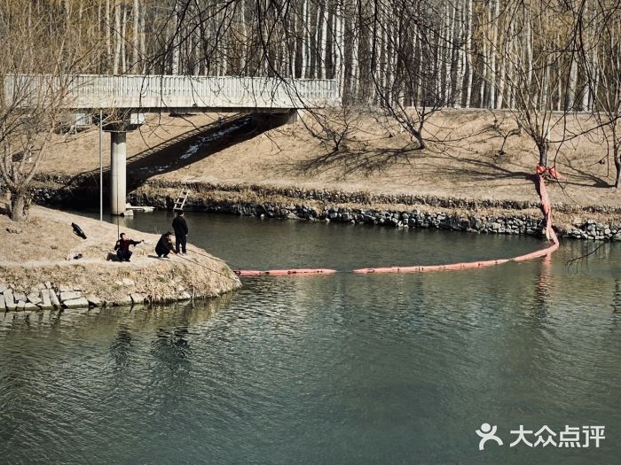 坝河休闲公园图片