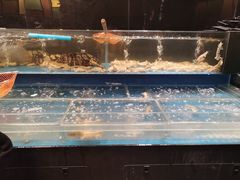 -长沙君悦酒店·自助餐厅咖啡厅