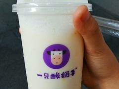 籽籽百香酸奶多-一只酸奶牛(八一路店)