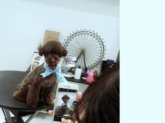 -Oh My Dog宠物沙龙(伊珊娜皮毛护理店)