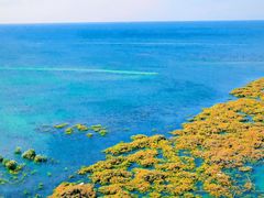 -北海金海湾红树林生态旅游区