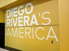 -旧金山现代艺术博物馆