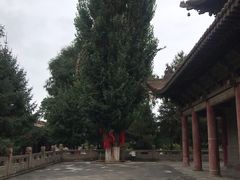 -张掖大佛寺景区