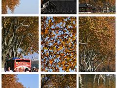 -北山街历史文化街区