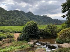 -中国茶叶博物馆(双峰馆区)