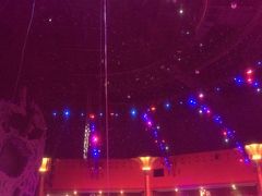 -珠海横琴长隆《卡卡虎奇遇记》