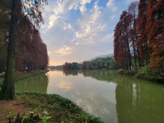 -星湖旅游景区七星岩