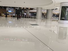 -TheRink大零溜冰场(IFS国金中心店)