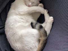 -宠颐生中康贝怡动物医院