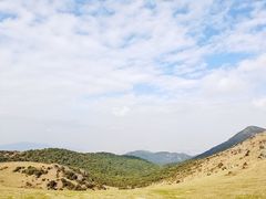 -大姆山草场