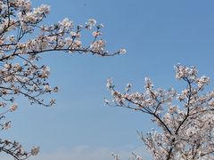 -幕燕滨江·长江观音景区