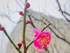 -北京明城墙遗址公园
