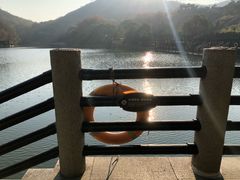 -白马涧龙池景区