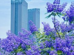 -金海湾滨江公园
