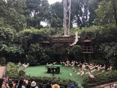 -新加坡飞禽公园