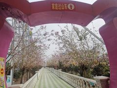 -百万葵园
