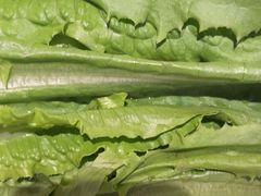 -盡膳口福跷脚牛肉火锅(北美新天地店)