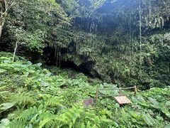 -海口火山口国家地质公园