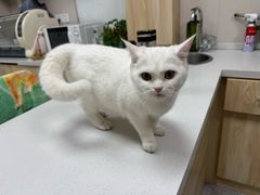 -宠颐生宠物医院·综合诊疗(先锋分院)