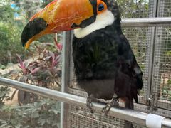 -南宫五洲植物乐园