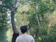 -云龙山